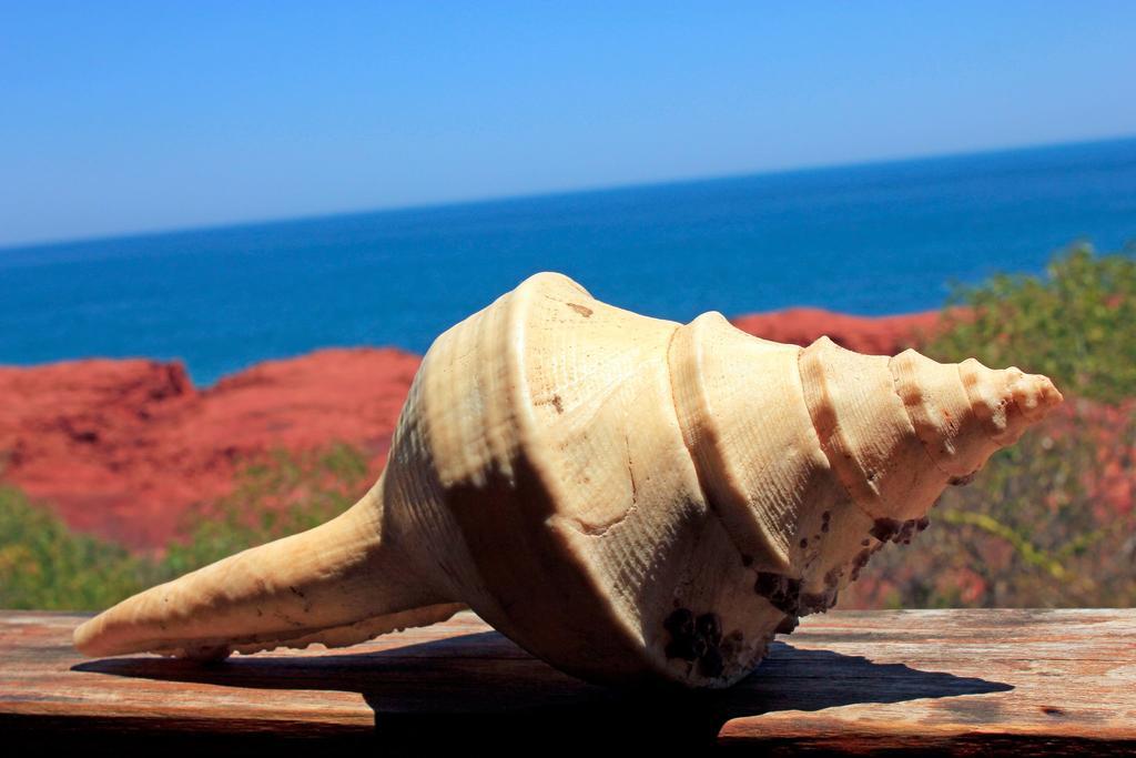 ホテルKooljaman Dampier Peninsula エクステリア 写真